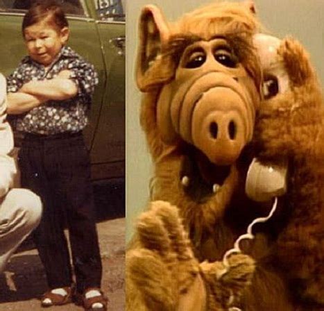 Почина Алф-Мичу Месарош