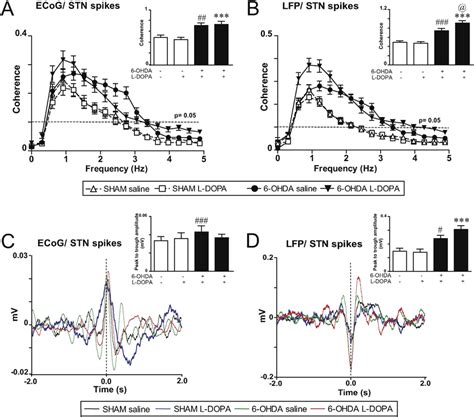 Effect Of Ohda Lesion And L Dopa Treatment On Stn Spike Trains