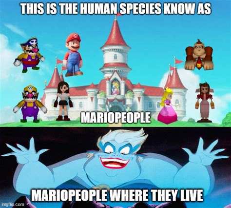 Ursula Discoverd Mariopeople Imgflip