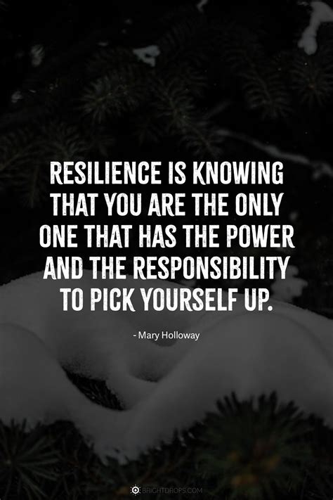 56 Resilience Quotes for True, Lasting Strength - Bright Drops
