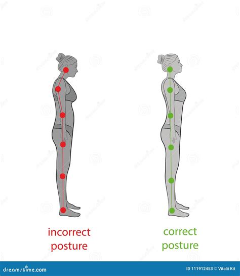 Correct Alignment Of Human Body In Standing Posture For Good