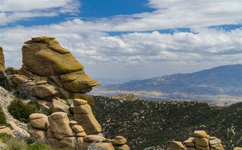 Road Trip to Pensacola – Photo book