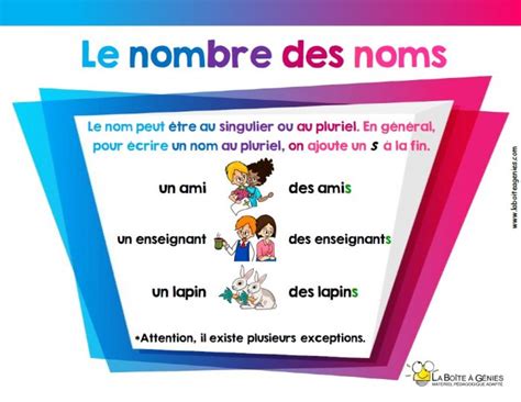 Les Classes De Mots Le Nombre Des Noms La Boîte à Génies