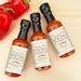 Hot Sauce Wedding Favors Hot Sauce Gift Mini Hot Sauce Custom Hot Sauce One Hot Couple