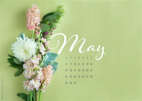may desktop wallpaper