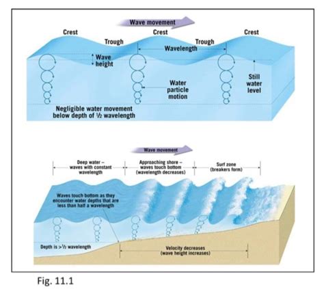 Solved Crest Crest Wave movement Crest Trough Wavelength | Chegg.com