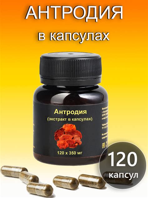 Купить красный камфорный гриб Антродия оптом в Вит Аптеке
