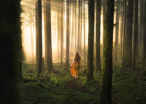 mind    portrait landscape photographer petapixel