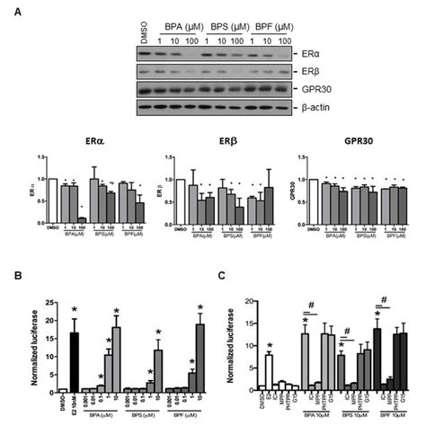 Effect Of Bpa Bpf And Bps On The Expression Of Er Er And Gpr In