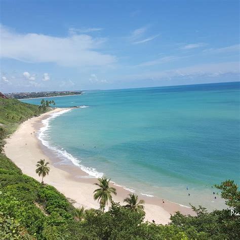 Praia Da Arapuca - PRAIA DE ARAPUCA (Conde): Ce qu'il faut savoir pour votre visite (avec ...