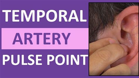 Temporal Pulse Point Palpation Location And Nursing Assessment Youtube