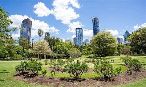 Free Guided Tours The Weekend Edition What S On In Brisbane