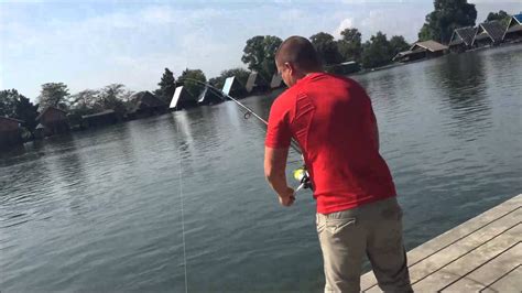 Гигантский шильбовый сом Ловля большой рыбы более 40 кг. Таиланд ...