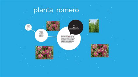 Planta Romero By Alex Kleinberg On Prezi