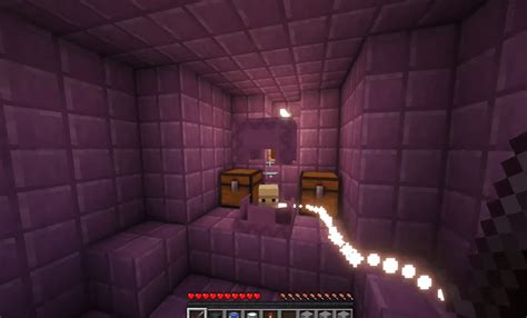 How to Get Elytra in Minecraft