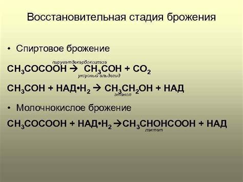 Брожение и дыхание Процесс брожения Брожение