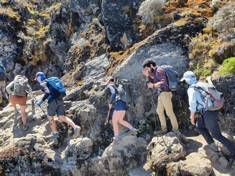 D As Escalada Al Kilimanjaro Ruta Machame Getyourguide