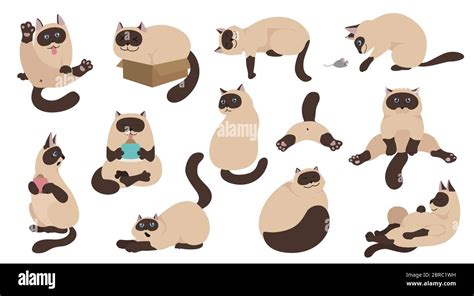 Cartoon Cat Characters Collection Different Cat`s Poses Yoga And Emotions Set Flat Color