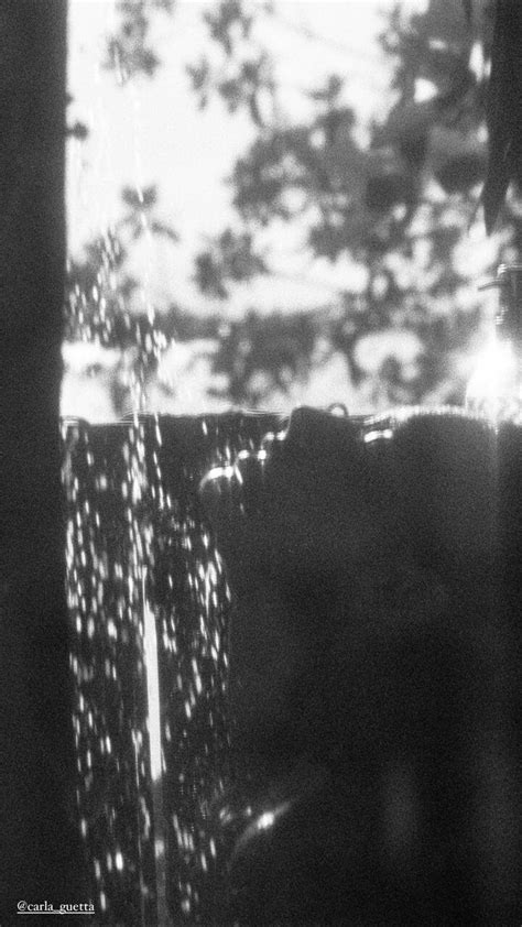 Carla Guetta Cohen Carlaguetta Nude OnlyFans Leaks Photos TheFappening