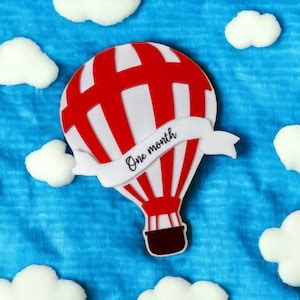 Hot Air Balloon Baby Milestone Markers Monthly Baby Photos Baby Shower Gift For New Moms Baby