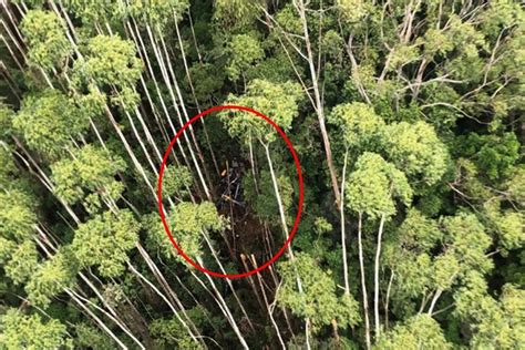 Helic Ptero Foi Encontrado Em Sp No Local Em Que Antena Captou Sinais