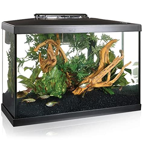 20 Gallon Long Fish Tank 2024 Vet Ranch We Love Pets