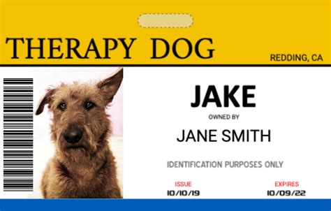 Service Dog ID Cards | Online ID card creator with many ID badge ... - Worksheets Library