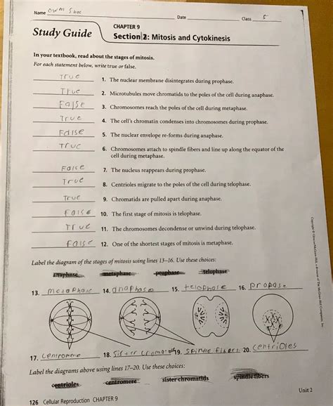 Mitosis And Cytokinesis Answer Key Study Guide