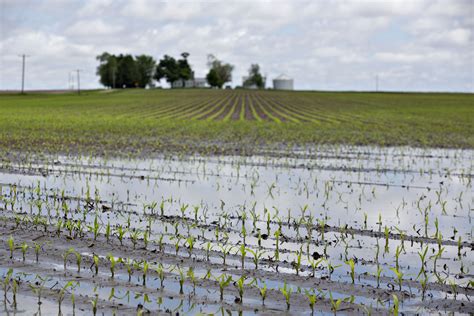 Midwestern Farmers Struggles With Extreme Weather Are Visible From