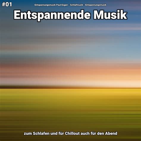 Entspannende Musik Teil 14 Song And Lyrics By Entspannungsmusik Paul