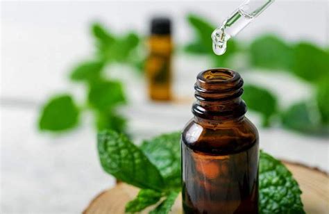 How To Use Peppermint Oil For Headaches The Crafty Woman Blog