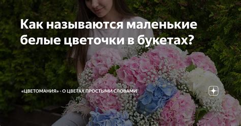 Как называются маленькие белые цветочки в букетах? | «Цветомания» - о ...