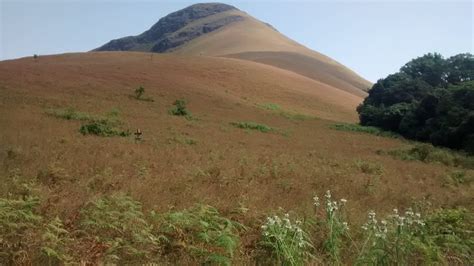 Kudremukha Peak - TerrainXplorer