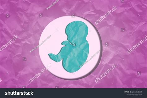 Human Fetus 3d Illustration Offset Collection Stock Illustration