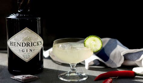 Hendricks cocktail | Cocktails, Alcoholische drankjes, Recepten