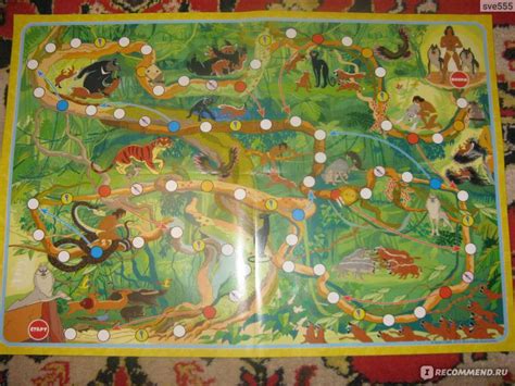ООО Принт - Сервис Настольная игра Маугли - «Простая настольная игра ...