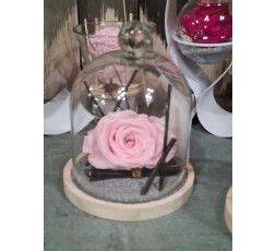 Descubra Kuva Rose Eternelle Cloche En Verre Thptnganamst Edu Vn