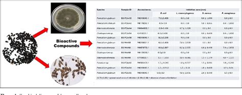 Figure From Bioactivity And Enzymatic Properties Of Culturable