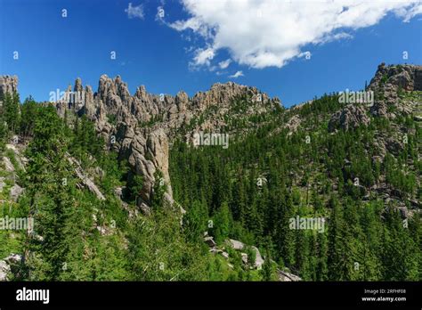Black Hills South Dakota, Cathedral Spires, Sunrise, Alpenglow. View ...