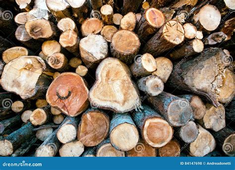 Madeira Empilhada Do Corte Em Um Woodpile Do Inverno Foto De Stock