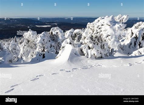 Panoramic view from the Brocken, Harz National Park. Germany ...