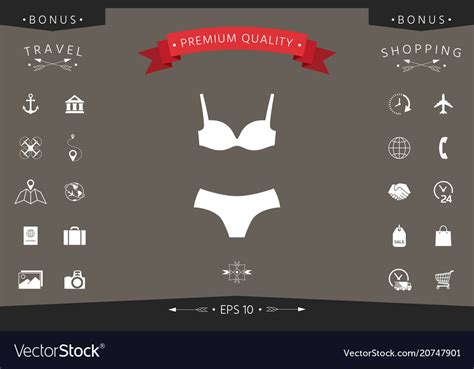Set Of Lingerie Or Swimsuit Two Piece Bikini Vector Image
