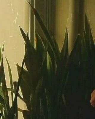 Jenelle Evans Nude Porn Pictures Xxx Photos Sex Images Pictoa