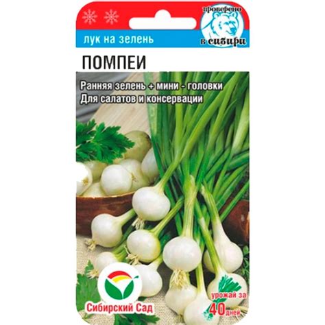 Купить Лук на зелень Помпеи 0,5гр недорого по цене 24руб.|Garden-zoo.ru