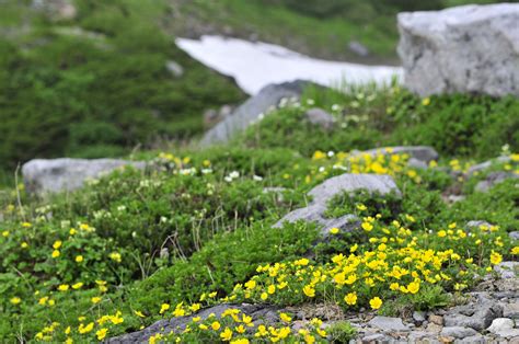 高解像度フリー写真集｜立山・室堂・剣岳・富山