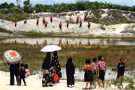 Rehabilitasi Lahan Bekas Pertambangan Antara Foto