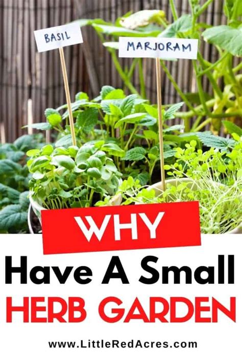 reasons    small herb garden