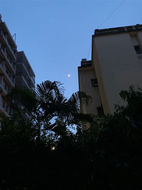 Monsoon | The Common