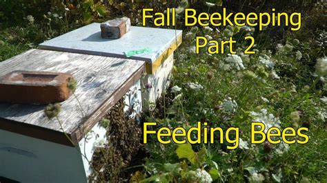 Fall Beekeeping Part 2 All About Feeding Youtube With Images