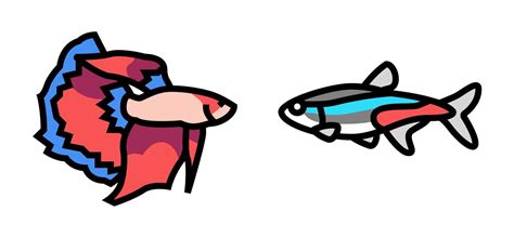 Can Tetras Live with Bettas? - Fish Laboratory